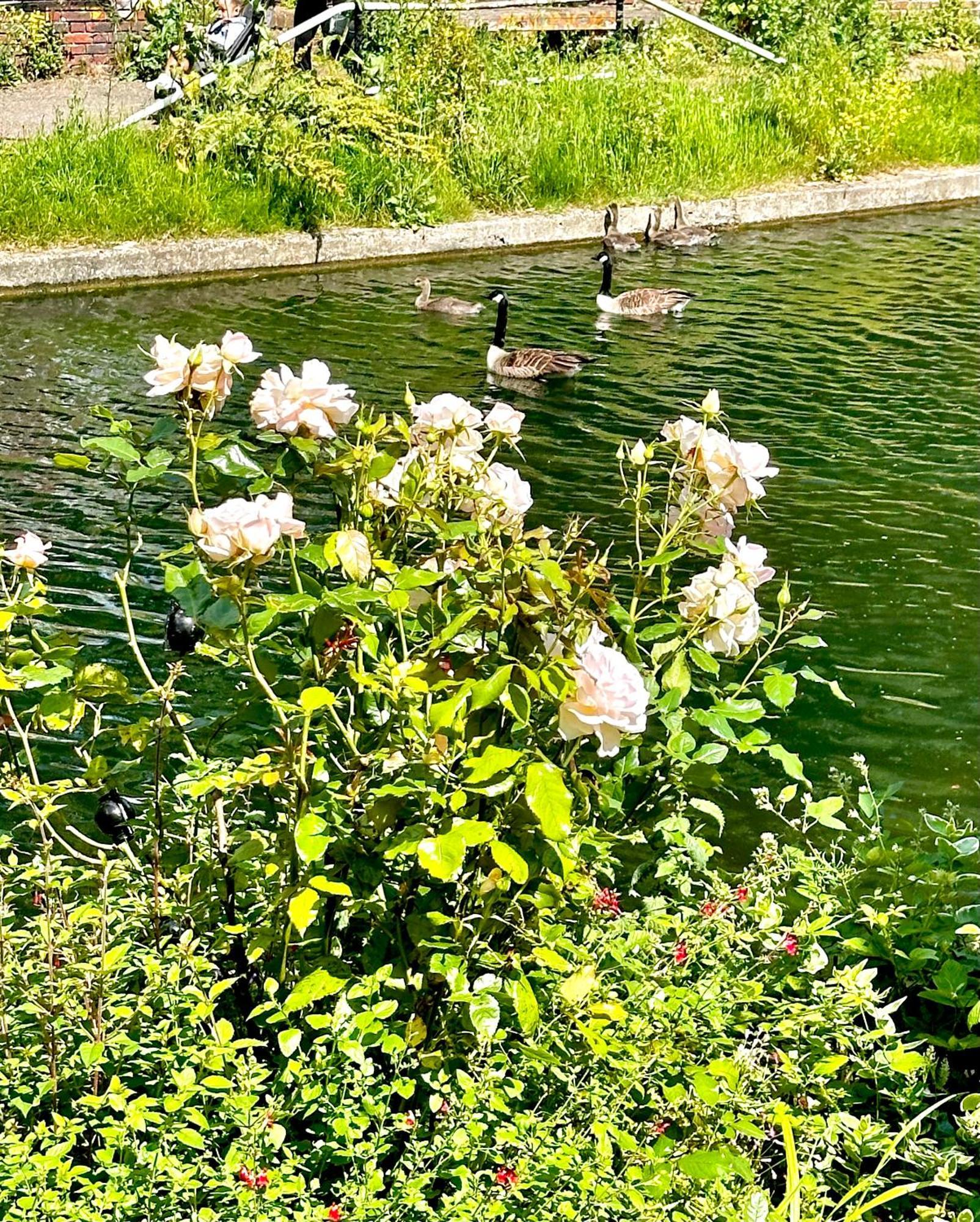 Amazing Location - City Of London- 2 Bedroom Stunning Canal View House With Private Garden,Parking & Balcony Zewnętrze zdjęcie